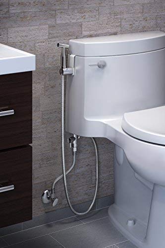 Brondell CSL-40 CleanSpa Luxury Hand Held Bidet Shattaf Sprayer, Silver 10.5 x 7 x 2.5 Inch