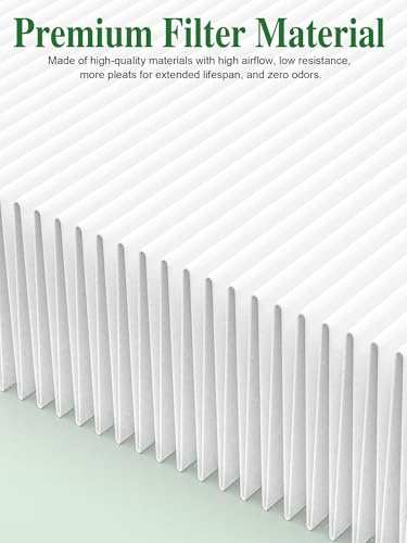 3000 Replacement Filter Compatible with Air Doctor 3000 Series 4-in-1 Home Air Purifier 3000 3000M 3000E and 3000Pro, NOT Fit for 3500, 2 Main Filter 3000 Premium Filters (2-Pack)