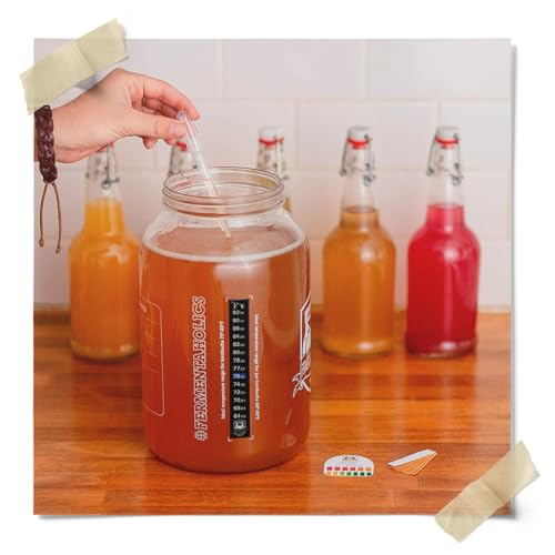 Fermentaholics Kombucha & Fermentation pH Test Strips – Instant Read pH Strips Dispenser for Brewing & Fermentation, pH Range 0–6 (pH Roll Dispenser) pH Test Roll
