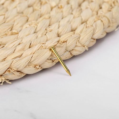 Gold Small Nails, 100PCS Hardware Nails Assortment Kit, Round Head Brass Nail, Tiny Finishing Nails Accessories for Household Wood Picture Hanging String Art (22mm Long Thickened) 22mm long thickened