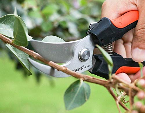 8" Bypass pruner ,Hand Pruners, Garden Clippers,Flower pruning scissors(pack of 1)