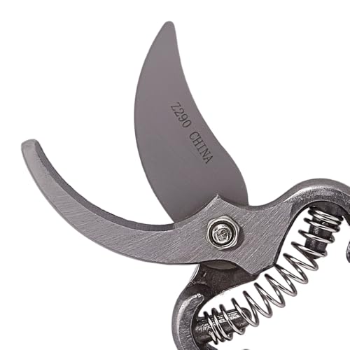 Classic Forged Steel Pro, 8-Inch 10
