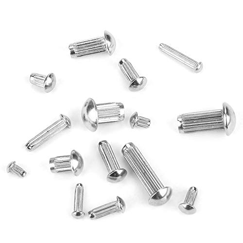 Round Head Solid Rivets Knurled Shanks M2 M3 M4 M5 Stainless Steel Fasteners Assortment Kit with Storage Box