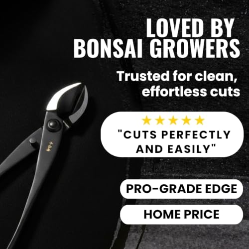 Senkichi 8.3" Japanese Bonsai Concave Cutter – Professional Branch Cutter for Clean Flush Cuts, Leaves No Stub – High-Carbon Forged Steel Pruning Shears, Made in Japan - forest Originals
