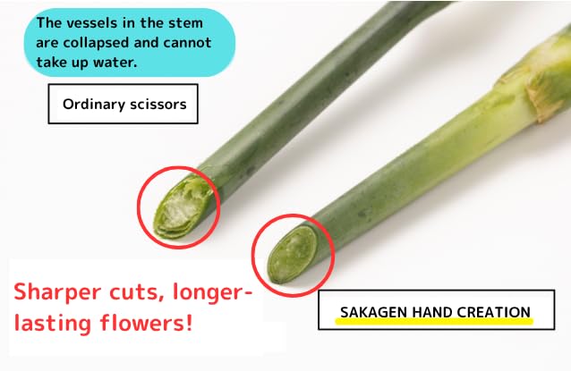 Japanese Floral Scissors - SAKAGEN Hand Creation, Professional Ultra Sharp Flower Shears for Floral Design, Ikebana & Gardening, Made in Japan, F-170 (Moss Green) Moss Green