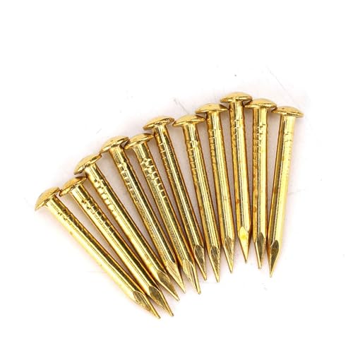 Oumefar Gold Round Head Nail Brass Nails Mini Model Nail Furniture Hinge 100pcs for Hardware Accessories DIY Crafts(#1) Home