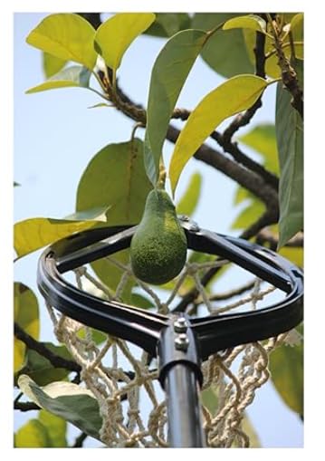 Lightweight Mango Fruit Picker/Harvester with 4 Replaceable Sharp Blade| Cotton net| Fruit Harvester, Composite Material | Without Pole