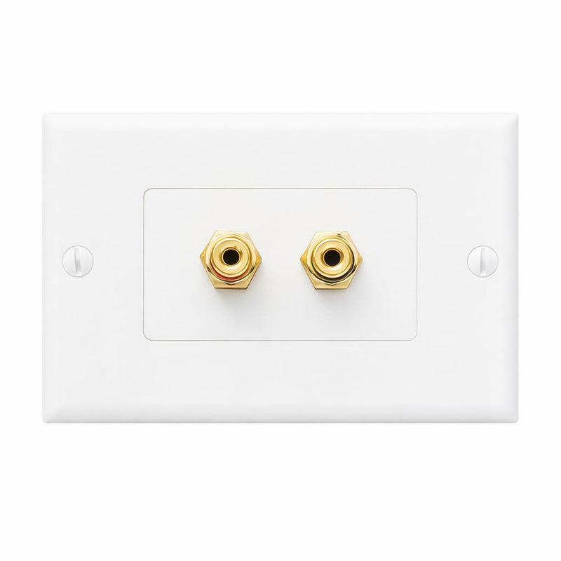 DIYTECH 1 Speaker Wall Plate 2 Pack, Gold Plated Binding Post Home Theater Wall Plate for In Wall Speaker Wire, Surround Sound & Audio Systems