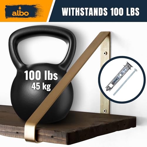 ALBO 10 Pack Metal Self-Drilling Drywall Toggle Anchors with Screws 10pcs EZ Self-Drilling Toggle Anchors