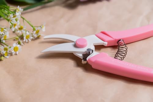 Japanese Hand Pruners - Sakagen Hand Creation, Ultra Sharp Bypass Pruning Shears for Flowers & Gardening, Made in Japan, P-180 (Warm Grey) Warm Grey