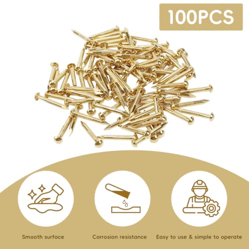 100PCS Small Tiny Brass Nails 0.1"×0.98" Round Head Tacks Wood Decorative 2.8×25mm 100pcs
