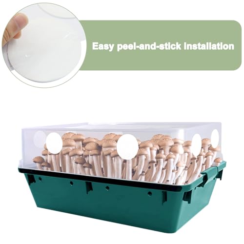 48 Pcs 2.5" Monotub Adhesive Filter Disks 48PCS