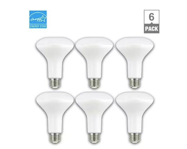 EcoSmart 65-Watt Equivalent BR30 Dimmable LED Flood Light Bulb Daylight (6-Pack) A20BR3065WESD56