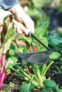 DeWit Tierra Garden Right Hand Japanese Hand Hoe, Handheld Gardening Tool to Remove Grass, Weeds, and More