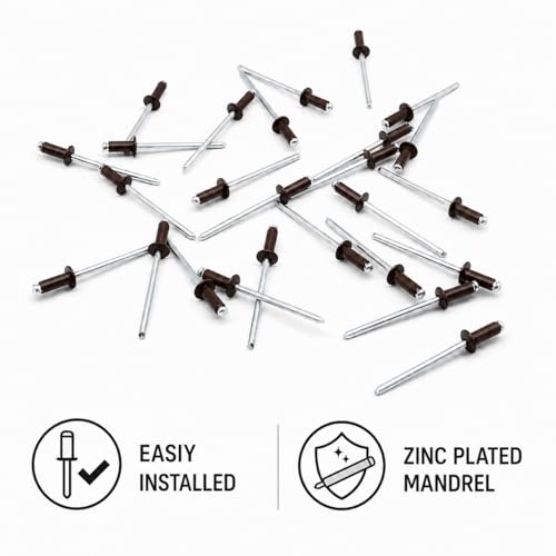 (Pack of 100) Painted Blind Rivets 5/32" x 5/16" (4.0 x 8 mm), Dome Head, DIN 7337, Aluminium Rivets and Steel Mandrel, Pop Rivets, Drill Bit Included, Chocolate Brown RAL 8017 Chocolate Brown (Ral 8017)