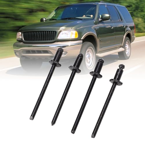 Aramox 8PCS Aluminum Rosette Rivets, Dash Rosette Rivets, Rosette Shaped Rivets for AMC VIN Door TAG All Vehicles (Black), Aramoxgsc6fbrwm0-11