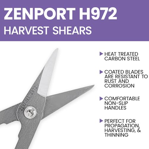 Zenport H972 Pomelo Harvest Shear, 2-Inch Carbon Steel Blades, Red 1