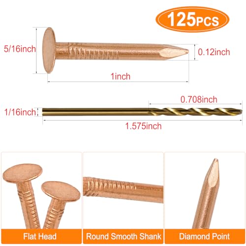 1 Inch Copper Nails, 125Pcs, 99.9% Pure Copper Nail for Roofing Finish, Furniture, Boat, Stump Remover, Industry, DIY Length: 1 Inch x 125 PCS x Dia. : 0.12 Inch