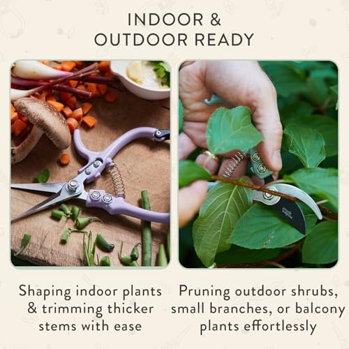 Modern Sprout Hand Pruners+Shears Set w/Blister - Gardening Tools - Sage