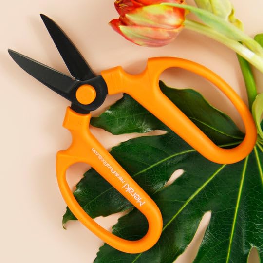 Flower Scissors With Black Carbon Steel Blades 7.0 Inch, Ornithogalum (Orange) 7.0 Inch Orange