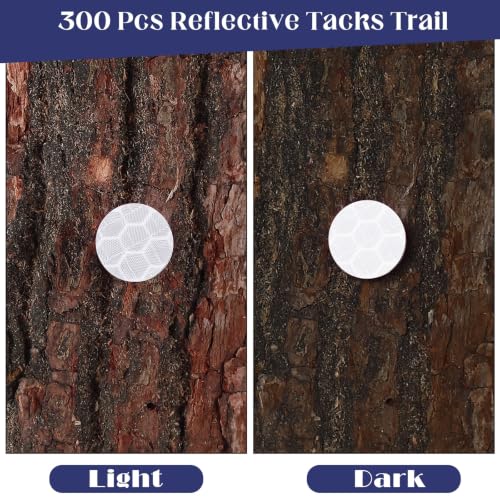 Fullhawl 300 Pcs Reflective Tacks Trail Marking Tacks, Sliver