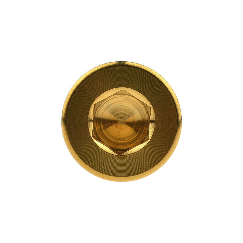 Titanium Bolt DIN912 M8x15 20 25 30 35 40 45 50 60 70mm Square Head Hex Socket Screws Pitch 1.25mm Pack of 5 (M8x50mm, Gold) M8x50mm