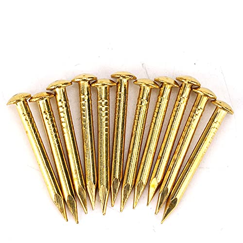 Brass Nails Golden, 100Pcs Round Head Nail Brass Furniture Big Head 20mm Accessories 10mm/15mm/18mm/22mm15mm Length den Nail Flat Round Hinge Hardware (22mm long, bold)