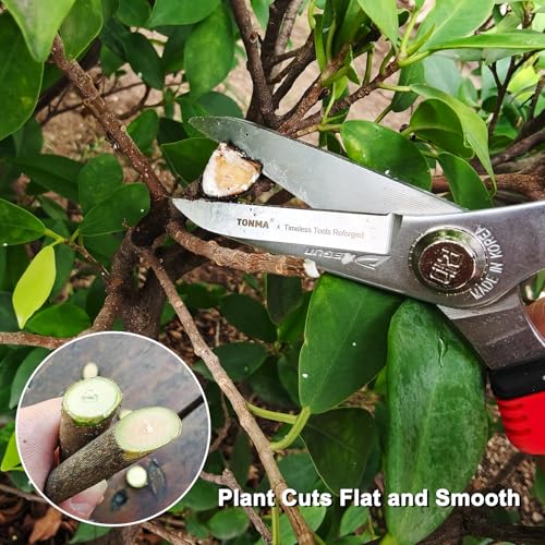 TONMA 7.5“ Pruning Scissors, Made in Korea, Multi-Precision Garden Snips