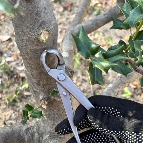 Knob Cutter Bonsai Tools 8.3" (210mm)