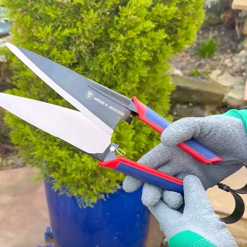 Spear & Jackson Razorsharp Topiary Shears – Precision Garden Shears for Pruning, Shaping, and Trimming Plants Classic