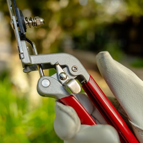 Radius Garden 13.5" Grass Shears, Heavy-Duty Lawn Scissors