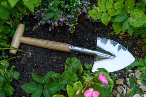 Burgon & Ball Stainless Steel Small Perennial Spade Shovel, Wood T-Grip Handle