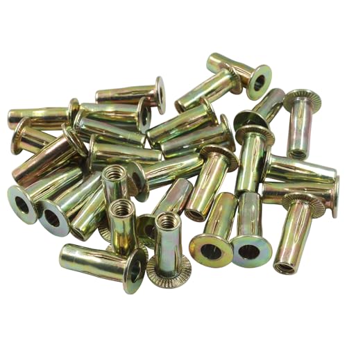 Murtenze 100 Pcs Multi-Grip Rivet Nut Kit, 1/4-20