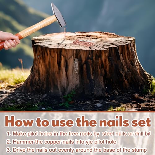 Gisafai 29 Pcs Tree Stump Killer Set Includes 24 Pcs 4.92 Inch Copper Nails Bulk, 2 Pcs Steel Nails, 2 Drill Nails, 1 Storage Box, Stump Removal Spikes Hardware Nails for Trees Stumps Landscaping