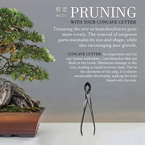 BambooMN Bonsai Tool Kit - 8" Concave Cutter & 8" Knob Cutter - 1 Set Concave Cutter & Knob Cutter Set