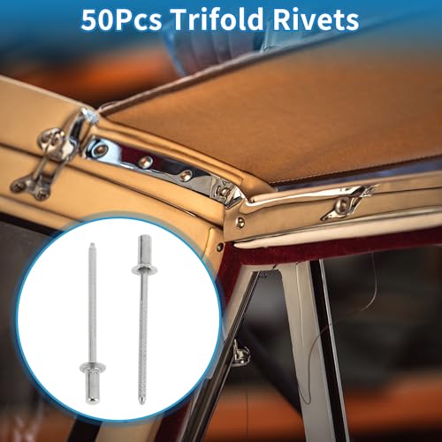 Countersunk Head Closed Sealing Rivets 3.2mm Grip Diameter 6mm Grip Length 6mm Flange Diameter Stainless Steel Silver Tone 50 Pcs