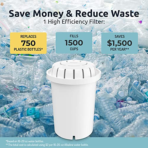 Invigorated Water PH001 White Alkaline Water Filter Replacement White-1 Filter