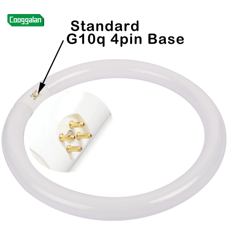 FC12T9/DX 32W 12 inch T9 Circular Light Bulb Daylight, Round Fluorescent Circline Bulbs FC12 T9 32 Watts Kitchen and Bath, G10q 4 Pin Prong, 6500K, 2 Pack