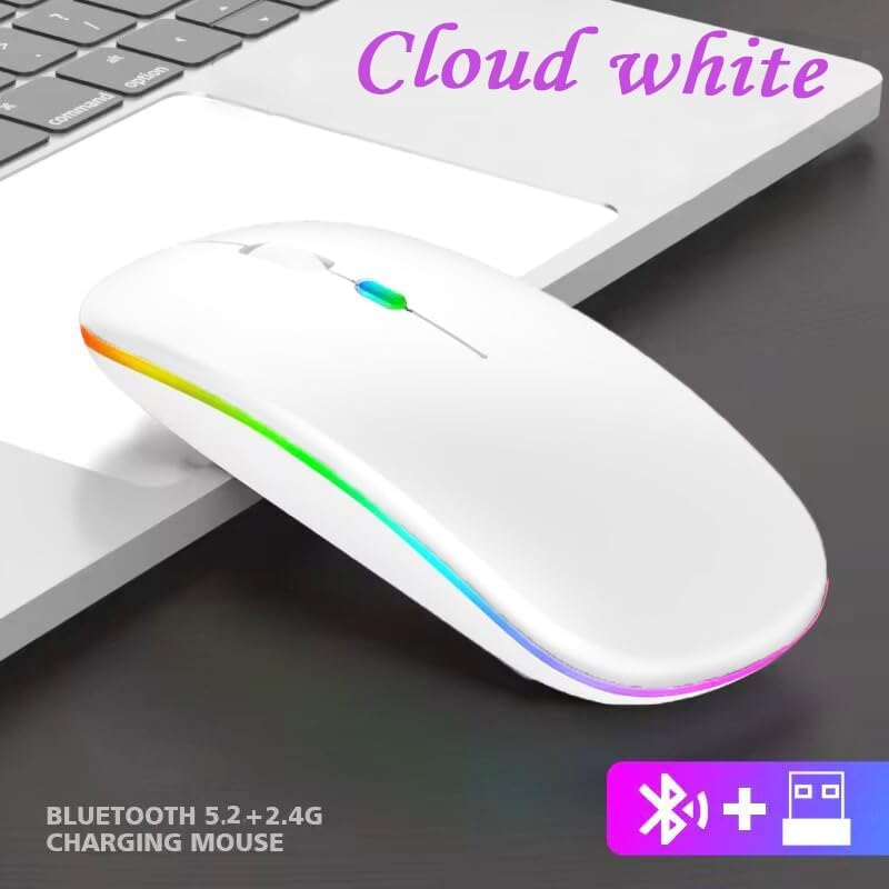 Wireless Bluetooth Mouse,LED Dual Mode Rechargeable Silent Slim Laptop Mouse,Portable(BT5.2+USB Receiver) Dual Mode Computer Mice,for Laptop,Desktop Computer,ipad Tablet,Phone,TV (White) white