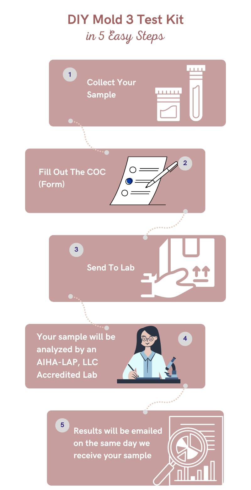 DIY Mold 3 Test Kit (Same Day Results) Expert Consultation and AIHA-LAP, LLC Accredited Lab Analysis Included