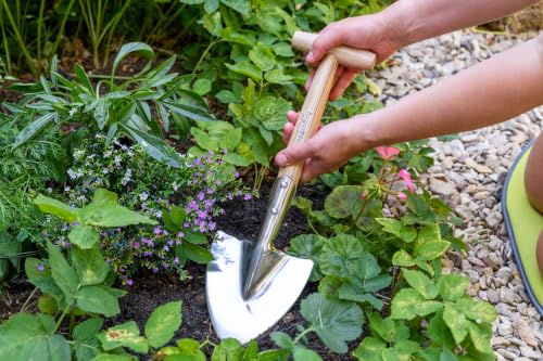 Burgon & Ball Stainless Steel Small Perennial Spade Shovel, Wood T-Grip Handle