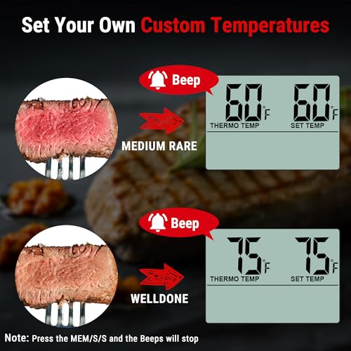 TempPro TempTrack Large LCD Digital Meat Thermometer for Cooking, Smoking Light Silver