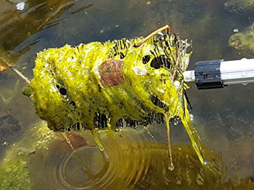PondH2o Water Garden Koi Fish Pond Brush with Telescoping Handle