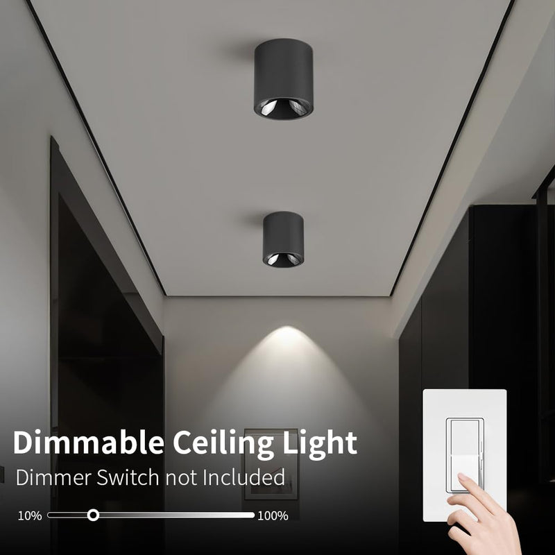 JAYMP Modern LED Ceiling Spotlight 4000K Dimmable 24W Black Surface Mount Cylinder Down Light for Living Room Hallway Lanudry Room 24W, 4000K Natural Light