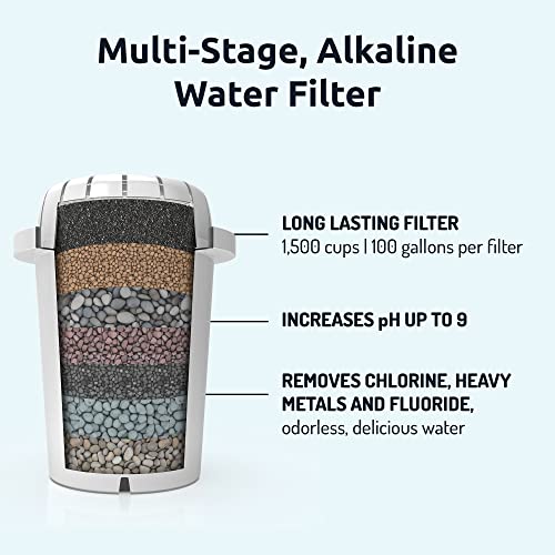 Invigorated Water PH001 Black Alkaline Water Filter Replacement