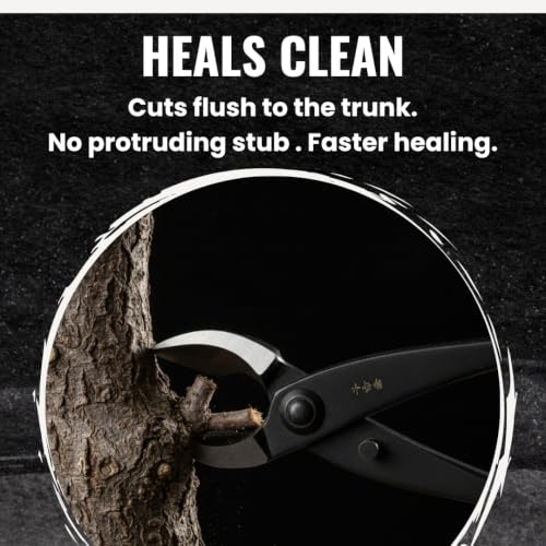 Senkichi 8.3" Japanese Bonsai Concave Cutter – Professional Branch Cutter for Clean Flush Cuts, Leaves No Stub – High-Carbon Forged Steel Pruning Shears, Made in Japan - forest Originals