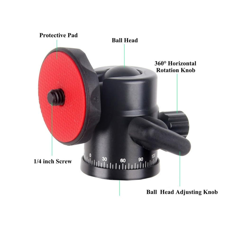 Tripod Ball Head with 1/4" Screw and Dual Hot Shoe Mount 360 Degree Rotatable Metal Adapter for DSLR Camera Tripods Monopods Camcorder Light Microphone (Load 4LB)