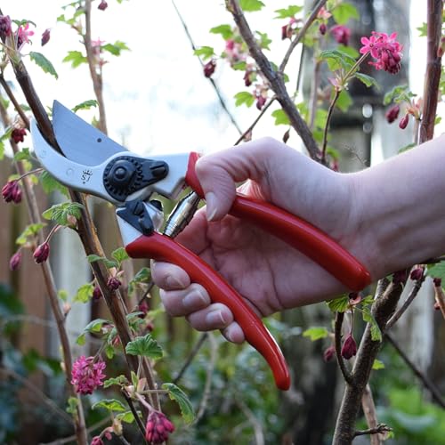 Spear & Jackson Razorsharp Heavy Duty Bypass Pruners, Drop-Forged High Carbon Steel Blades, Adjustable Blade Tension, Ergonomic Handles for Professional Pruning