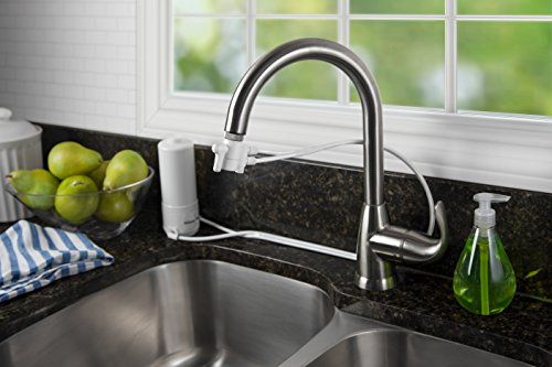 Home Master HM-MINI-Plus Countertop Faucet Filter, 750 Gallons Replaceable Filter, 1 Micron Absolute, NSF Certified Filter, Removes Lead, Chlorine, Chemicals, VOCs, TTHMs & More, Made in USA Mini Plus