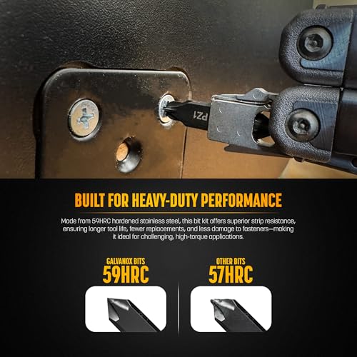 Galvanox Double Sided Bit Set Designed for Leatherman Multi-Tools, Flat-Bit Screwdriver Set with Holder (21 Pc Set + 4 Bonus Bits)